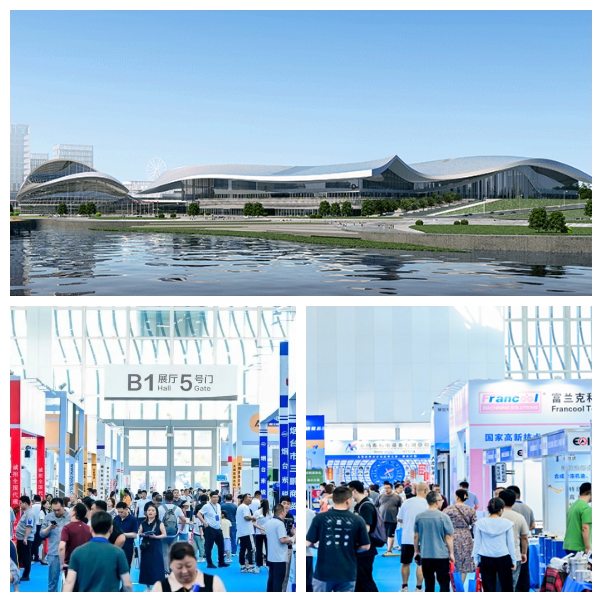 Lumalahok ang LIONSE sa 2026 Yantai Exhibition